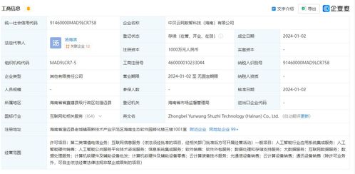 中貝通信在海南成立數智科技公司，拓展AI業務與信息系統集成服務